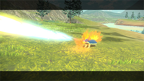 ꡼ No.008Υͥ / Pok&#233;mon LEGENDS 륻סFINAL PVɸʪθ򰮤ȥ륻ɤ䡤ѡȥʡݥοʲ˴ؤǿ