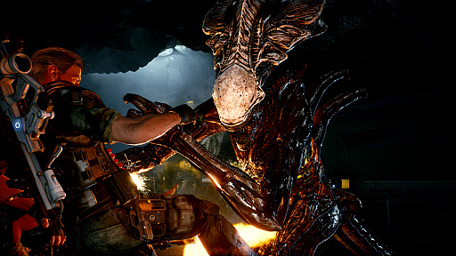 ꡼ No.001Υͥ / Aliens: Fireteam Eliteפκǿȥ쥤顼31ȤΥǽ를Υ⡼դĩॵХХ륷塼