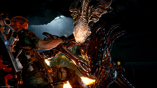 ꡼ No.001Υͥ / Aliens: FireteamפPS5/PS4Ǥ3goo˺ȯ䡣ǲȥꥢ323ǯХХ륷塼