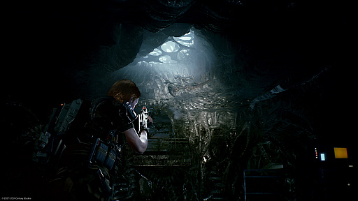 ꡼ No.003Υͥ / Aliens: FireteamפPS5/PS4Ǥ3goo˺ȯ䡣ǲȥꥢ323ǯХХ륷塼