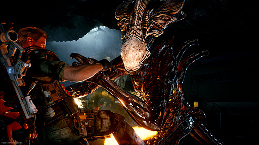 ꡼ No.007Υͥ / Aliens: Fireteam EliteסɲåƥĤƱȥȥϥ ǥɤ714˥꡼