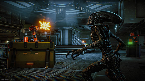 ꡼ No.002Υͥ / Aliens: Fireteam Eliteס4κǿ̵åץǡȡȥץ쥹ƥɤۿ򳫻ϡȥ꡼Ȥ뿷⡼о