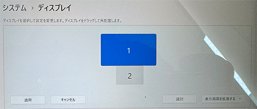 ꡼ No.009Υͥ / Nintendo DS2̥ǥ⤢ӷPCAYANEO Flipץ꡼ιͽ󤬥