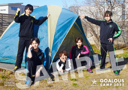 ꡼ No.040Υͥ / ɤϡơɡGOALOUS5פפ˽ĩȥɥʤ봴ͻҤݡȡȤϤ