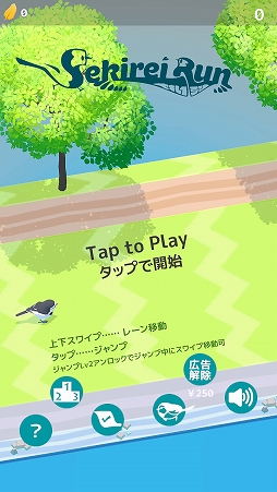 ���������꡼ No.001�Υ���ͥ������ / ���ޥ۸�����󥢥������֥����쥤�����פ�Ҳ𤹤�֡ʤۤܡ��������ޥۥ������̿�����2548��