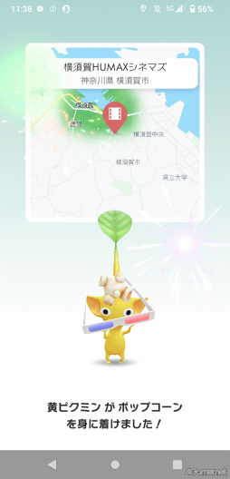 ꡼ No.003Υͥ / ԥߥȲܲԤҤޤȪˡPikmin Bloom Tour 2023:ܲθݡȡȯԤˤʹ