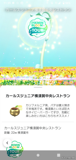 ꡼ No.004Υͥ / ԥߥȲܲԤҤޤȪˡPikmin Bloom Tour 2023:ܲθݡȡȯԤˤʹ