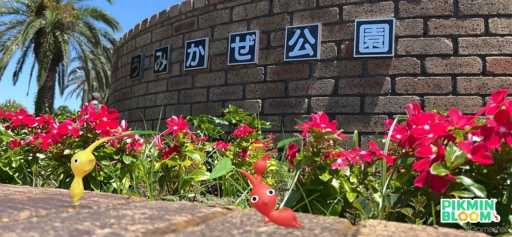꡼ No.005Υͥ / ԥߥȲܲԤҤޤȪˡPikmin Bloom Tour 2023:ܲθݡȡȯԤˤʹ