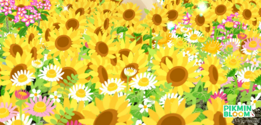 ꡼ No.006Υͥ / ԥߥȲܲԤҤޤȪˡPikmin Bloom Tour 2023:ܲθݡȡȯԤˤʹ