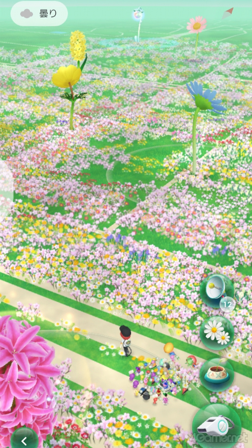 ꡼ No.007Υͥ / ۤʡԤԥߥõPikmin Bloom Tour 2024ʡθݡȡĿإ󥿥ӥ塼