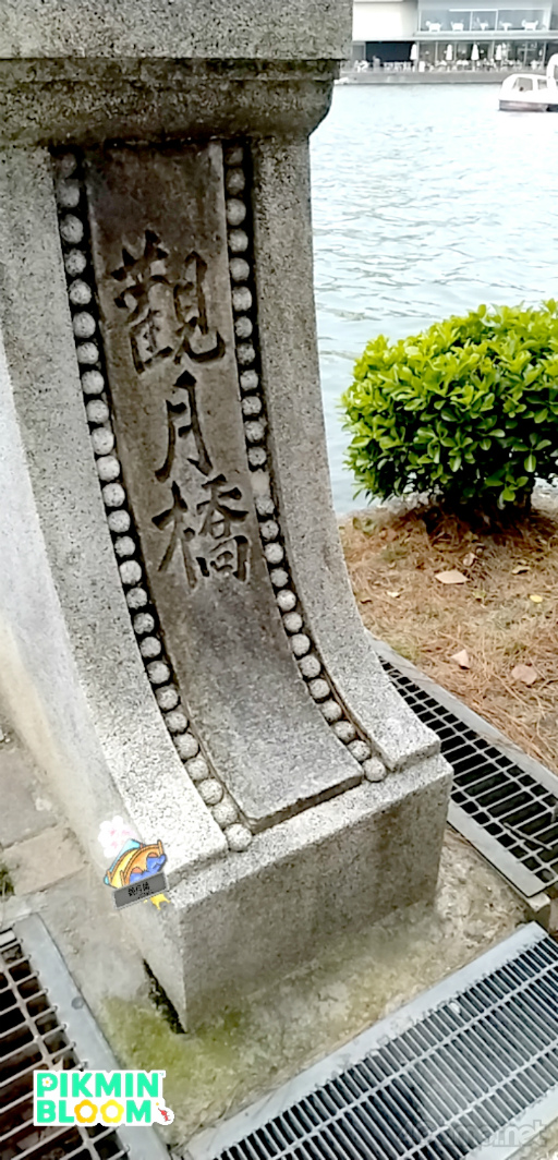 ꡼ No.011Υͥ / ۤʡԤԥߥõPikmin Bloom Tour 2024ʡθݡȡĿإ󥿥ӥ塼