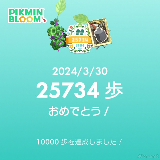 ꡼ No.012Υͥ / ۤʡԤԥߥõPikmin Bloom Tour 2024ʡθݡȡĿإ󥿥ӥ塼