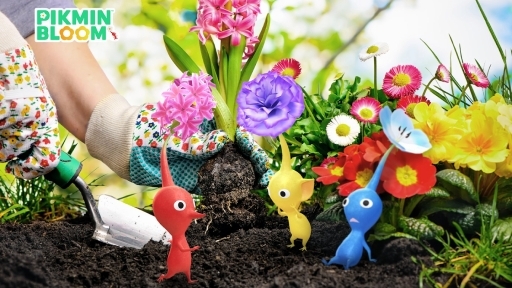 ꡼ No.001Υͥ / ԥߥ󤿤֤ǤäѤˤ褦Pikmin Bloomפǥǥˤʤ٥Ȥ