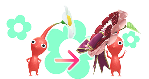 ꡼ No.004Υͥ / Pikmin Bloom Journey 2024ɡॷƥ112324ŷꡤå䳫ϡ̤ʥǥMii塼ब館