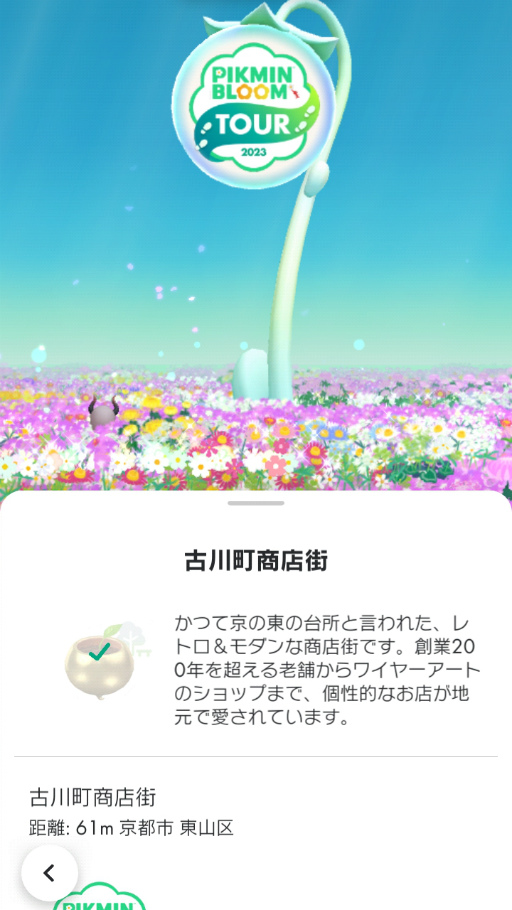 ꡼ No.011Υͥ / Υ󥿥ӥ塼ϡPikmin Bloom3ǯץȡ֡ؤȤäƤεԡ٥ݥȥɥפ̥ϤNiantic ¼ͻĹ ʹ