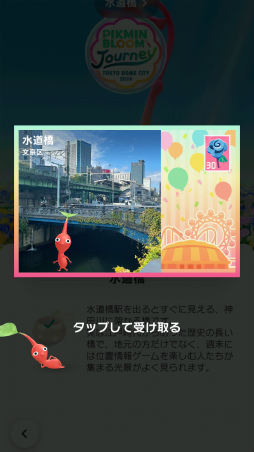 ꡼ No.003Υͥ / Pikmin Bloom Journey 2024 : ɡॷƥθݡȡ٥Ȥ˹᤿ۤʹåե󥿥ӥ塼⤪Ϥ