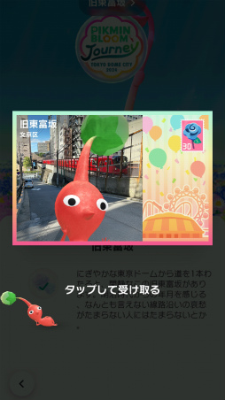 ꡼ No.014Υͥ / Pikmin Bloom Journey 2024 : ɡॷƥθݡȡ٥Ȥ˹᤿ۤʹåե󥿥ӥ塼⤪Ϥ