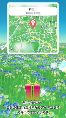 ꡼ No.019Υͥ / Pikmin Bloom Journey 2024 : ɡॷƥθݡȡ٥Ȥ˹᤿ۤʹåե󥿥ӥ塼⤪Ϥ