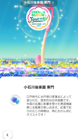 ꡼ No.025Υͥ / Pikmin Bloom Journey 2024 : ɡॷƥθݡȡ٥Ȥ˹᤿ۤʹåե󥿥ӥ塼⤪Ϥ