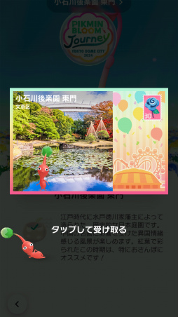 ꡼ No.026Υͥ / Pikmin Bloom Journey 2024 : ɡॷƥθݡȡ٥Ȥ˹᤿ۤʹåե󥿥ӥ塼⤪Ϥ