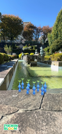 ꡼ No.030Υͥ / Pikmin Bloom Journey 2024 : ɡॷƥθݡȡ٥Ȥ˹᤿ۤʹåե󥿥ӥ塼⤪Ϥ