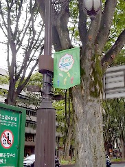 画像ギャラリー No.022のサムネイル画像 / 食いしん坊な黄ピクミンと杜の都をおさんぽ! リアルイベント「Pikmin Bloom Journey 2025:仙台」体験レポート