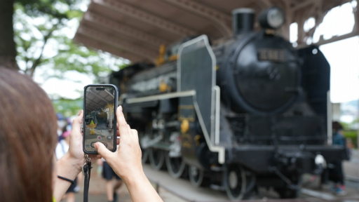 ꡼ No.003Υͥ / Υ󥿥ӥ塼ϡPikmin Bloom׻&#64017;ͧɻ᤬롽楤٥Ȥ΢顤ץΤ줫̤ޤ