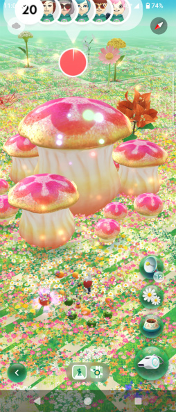 ꡼ No.009Υͥ / Υ󥿥ӥ塼ϡPikmin Bloom׻&#64017;ͧɻ᤬롽楤٥Ȥ΢顤ץΤ줫̤ޤ