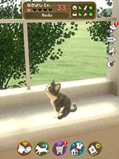 ꡼ No.004Υͥ / with My CAT - ǭȤ餽 -פ45˥꡼ޥۤǥڥåȤȤդ礨ߥ졼󥲡