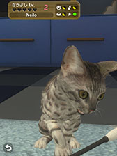 ꡼ No.006Υͥ / with My CAT - ǭȤ餽 -פ45˥꡼ޥۤǥڥåȤȤդ礨ߥ졼󥲡