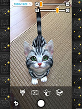 ꡼ No.007Υͥ / with My CAT - ǭȤ餽 -פ45˥꡼ޥۤǥڥåȤȤդ礨ߥ졼󥲡