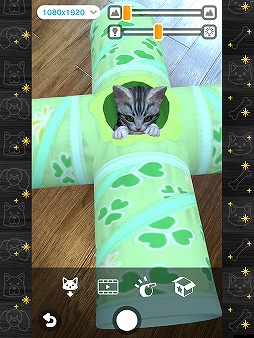 ꡼ No.002Υͥ / ǭȽв񤨤SLGwith My CAT - ǭȤ餽 -פۿȡץ쥤䡼˻ǭȿ벻ǧǽ
