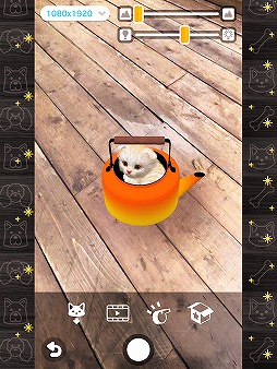 ꡼ No.004Υͥ / ǭȽв񤨤SLGwith My CAT - ǭȤ餽 -פۿȡץ쥤䡼˻ǭȿ벻ǧǽ