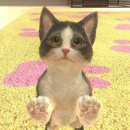 ꡼ No.005Υͥ / ǭȽв񤨤SLGwith My CAT - ǭȤ餽 -פۿȡץ쥤䡼˻ǭȿ벻ǧǽ