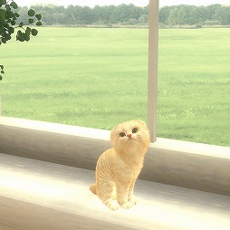꡼ No.006Υͥ / ǭȽв񤨤SLGwith My CAT - ǭȤ餽 -פۿȡץ쥤䡼˻ǭȿ벻ǧǽ