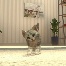 ꡼ No.007Υͥ / ǭȽв񤨤SLGwith My CAT - ǭȤ餽 -פۿȡץ쥤䡼˻ǭȿ벻ǧǽ