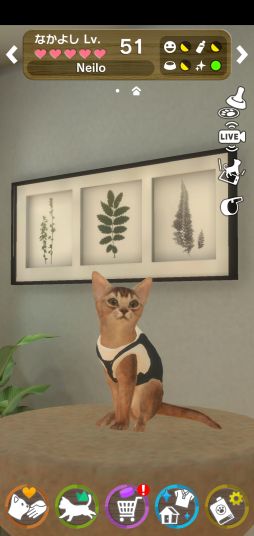 ꡼ No.002Υͥ / with My CAT - ǭȤ餽 -פǭ2郎ɲáSNSǵǰڡ󤬳