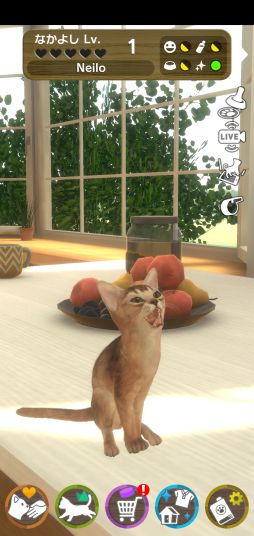꡼ No.003Υͥ / with My CAT - ǭȤ餽 -פǭ2郎ɲáSNSǵǰڡ󤬳