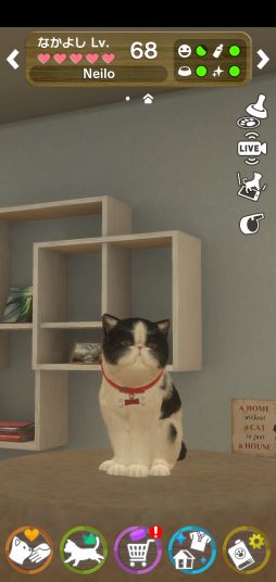 ꡼ No.004Υͥ / with My CAT - ǭȤ餽 -פǭ2郎ɲáSNSǵǰڡ󤬳
