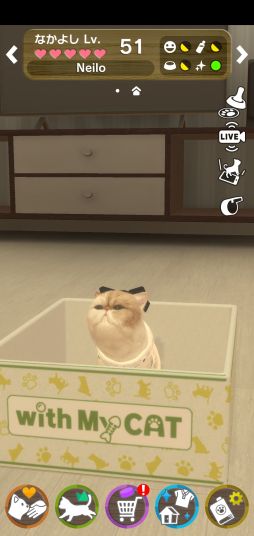 ꡼ No.005Υͥ / with My CAT - ǭȤ餽 -פǭ2郎ɲáSNSǵǰڡ󤬳