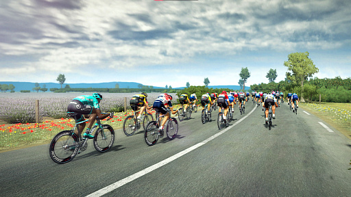 ꡼ No.003Υͥ / Ūʼž֥ɥ졼ơޤˤTour de France 2021פκǿȥ쥤顼