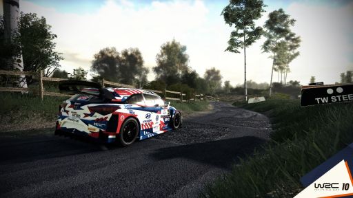 ꡼ No.002Υͥ / WRC10 FIA꡼긢פΥڥȥǥȤäե󥳥ߥ˥ƥΥǥҲ𤹤ư褬