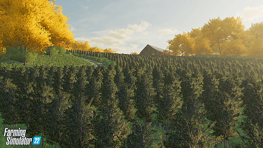 ꡼ No.003Υͥ / 絬ȥFarming Simulator 22ܸǤ1122˥꡼ͥޥƥåȥ쥤顼