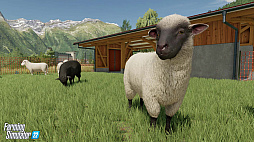 ꡼ No.003Υͥ / Farming Simulator 22פκǿȥ쥤顼ȥޥȤݤǤ벹˲ä˪ǽ