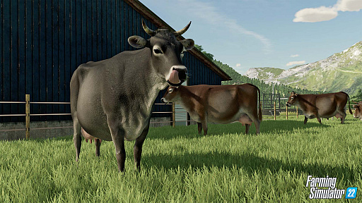 ꡼ No.004Υͥ / Farming Simulator 22פκǿȥ쥤顼ȥޥȤݤǤ벹˲ä˪ǽ