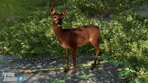 ꡼ No.009Υͥ / Farming Simulator 22פκǿȥ쥤顼ȥޥȤݤǤ벹˲ä˪ǽ