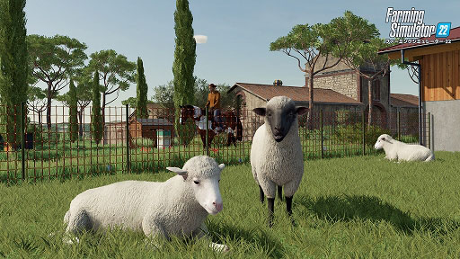 ꡼ No.002Υͥ / Farming Simulator 22סPCSteamǡXbox Series X/Xbox OneǤۿ