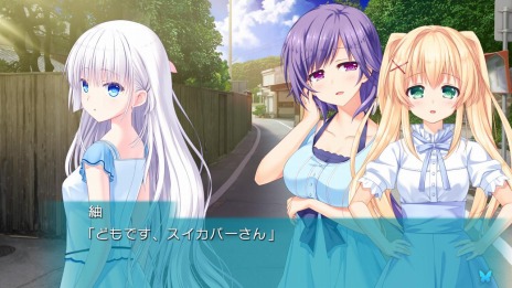 ꡼ No.001Υͥ / SwitchǡSummer Pockets REFLECTION BLUEפȯ䡣ҥȿ ɤ俷롼ȤɲäѥåǤо