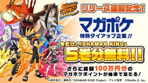 ꡼ No.002Υͥ / ֤դ󥯥ץϤSHAMAN KING򳫻