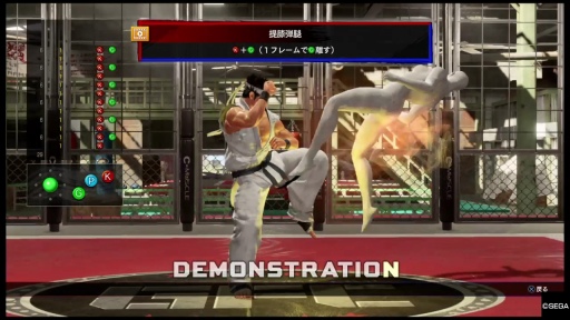 ꡼ No.005Υͥ / Virtua Fighter esportsפϲѤä ʲեåȥ饤ȥ졼˥󥰥⡼ɤå